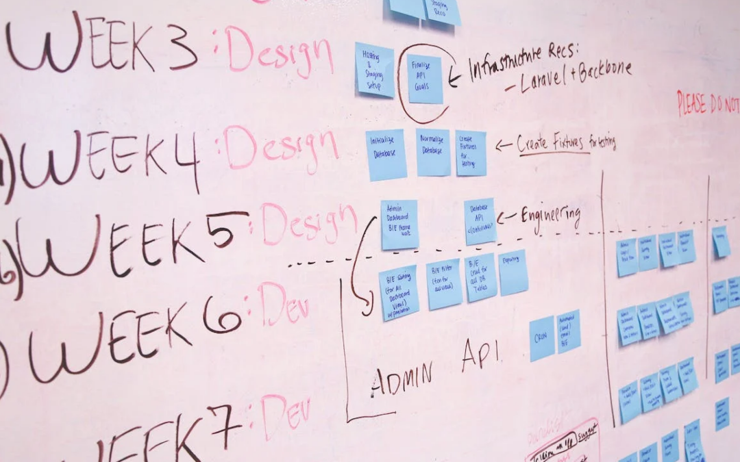 How Can A Project Manager Benefit Your Business?